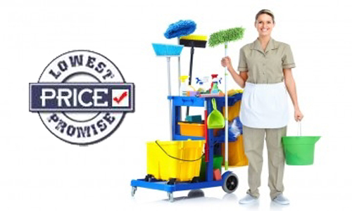 lowest pice promise= jersey cleaning maid